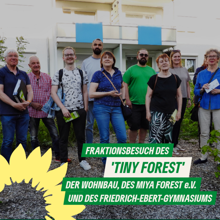 Grüne Fraktion besucht ‚Tiny Forest‘ – ein kleiner Wald mitten in der Stadt, der das Mikroklima verbessert