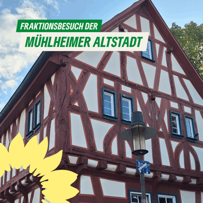 Grüne Sommerfraktion in der Mühlheimer Altstadt